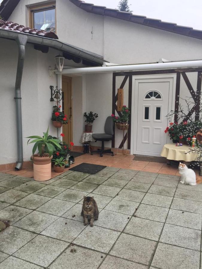 Kleines Haus Im Oderbruch Lejlighed Neutrebbin Eksteriør billede